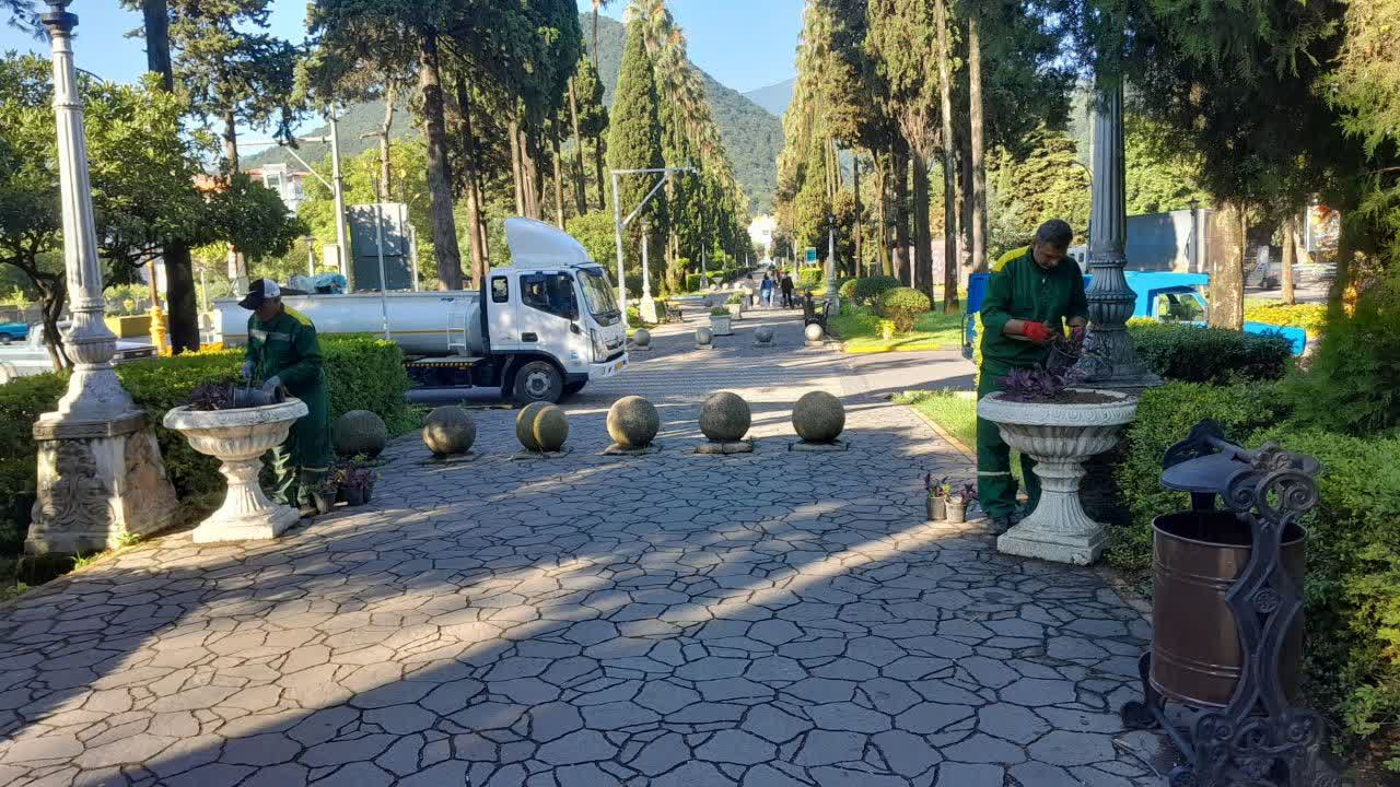 کاشت گل های فصلی